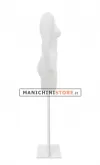 Busto donna 3 per foto internet e-commerce