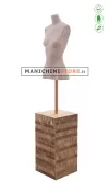 Busto teenager 16-18 anni Argilla - 64