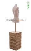 Busto teenager 16-18 anni Argilla - 64
