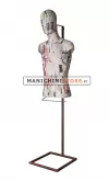 Busto uomo rivestito in cartapesta Giornale