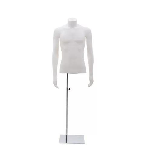 Busto torso uomo corto con braccia