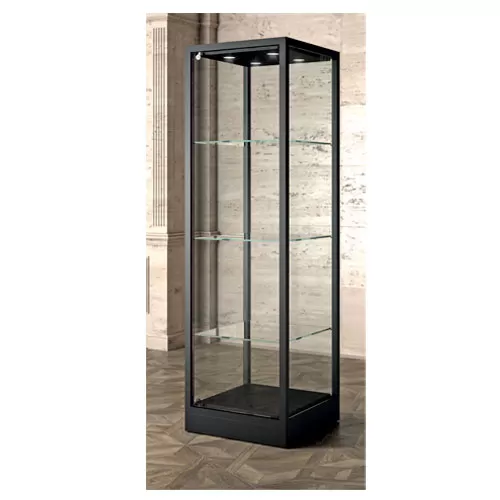 Teca per museo in metallo 60 FC