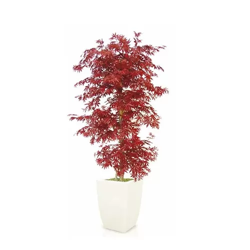 Acero Rosso a pi&ugrave; livelli H210