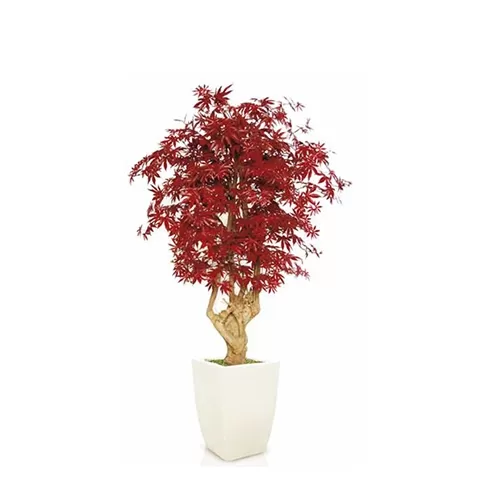 Acero Rosso H200