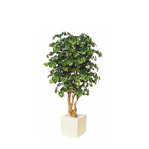 Artificial Ginkgo H 190 cm