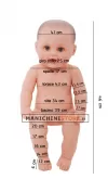 Manichino bambino "bambolotto" 0-3 mesi in plastica