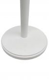 Busto donna bianco con base tonda ex-noleggio