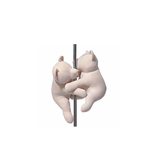 Orso ultraflessibile