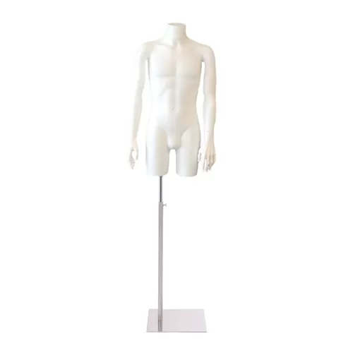 Busto torso uomo con braccia