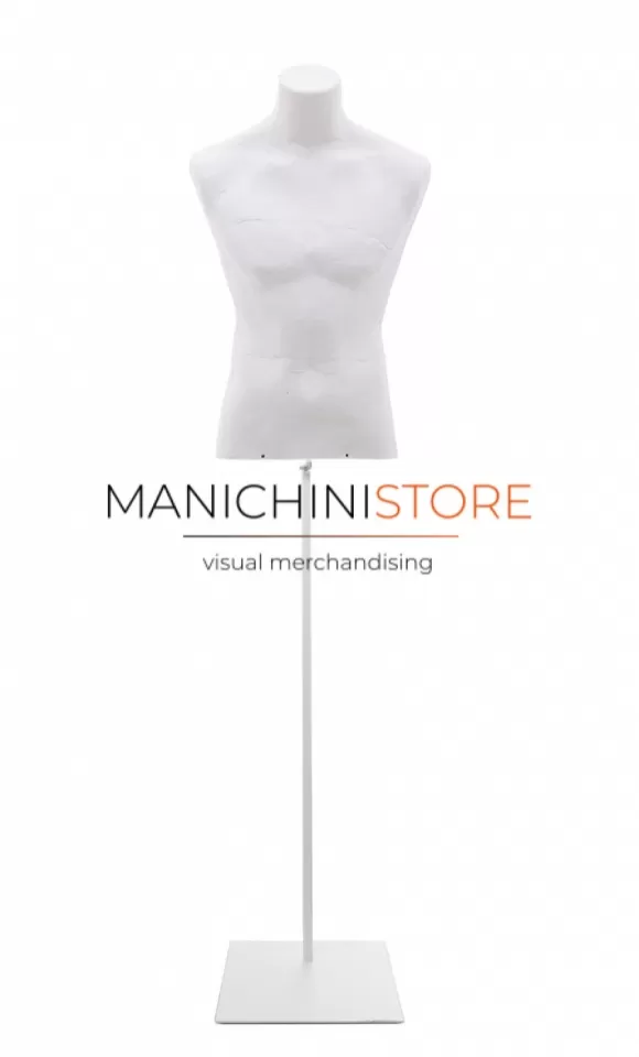 Noleggio busto uomo in cartapesta con base quadra - bianco
