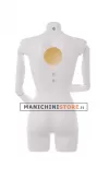 Busto manichino donna con braccia snodabili N1