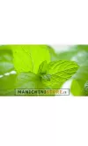Fragranza Fior di Menta