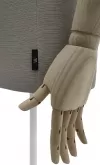 Busto uomo Collection N&deg;5 - personalizzato
