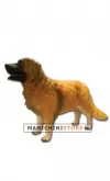 Cane Golden Retriver per allestimento vetrina - REALISTICO