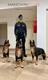 Cane Pastore tedesco per allestimento vetrina - REALISTICO
