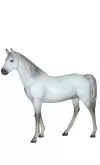 cavallo coda e criniera scolpita