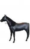 Cavallo in vetroresina per allestimento vetrina con criniera realistica