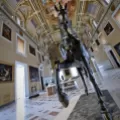 Cavallo per musei