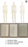 Manichino uomo collezione Citizens  