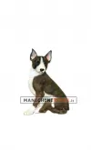 Cane Pitbull per allestimento vetrina - REALISTICO