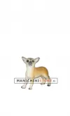 Cane Chiuaua per allestimento vetrina - REALISTICO