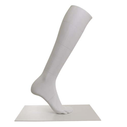 Leg with toes for e-commerce photos