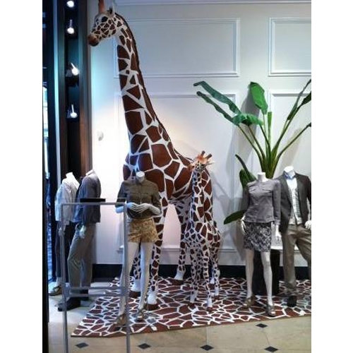 Giraffa per allestimento vetrina - REALISTICA