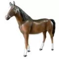 Cavallo scala 1:1