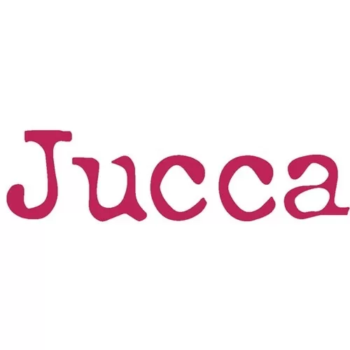 Gli anni '70 di Jucca