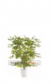Acero naturale H150