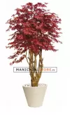 Acero Rosso Multitronco H250