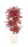 Acero Rosso a pi&ugrave; livelli H210