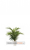 Artificial Howea H 100 cm