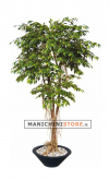 Artificial Golden Ficus H 220 cm