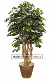 Artificial Exotica Ficus H 250 cm