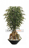 Artificial Exotica Ficus H 220 cm