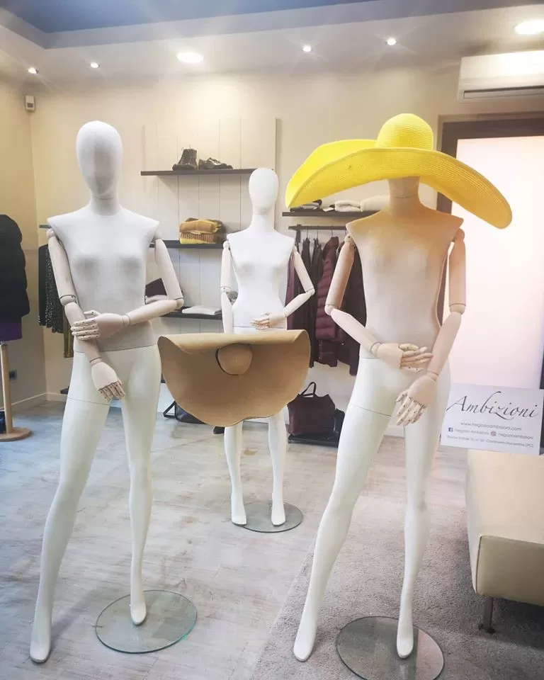 Negozio Ambizioni (PC)