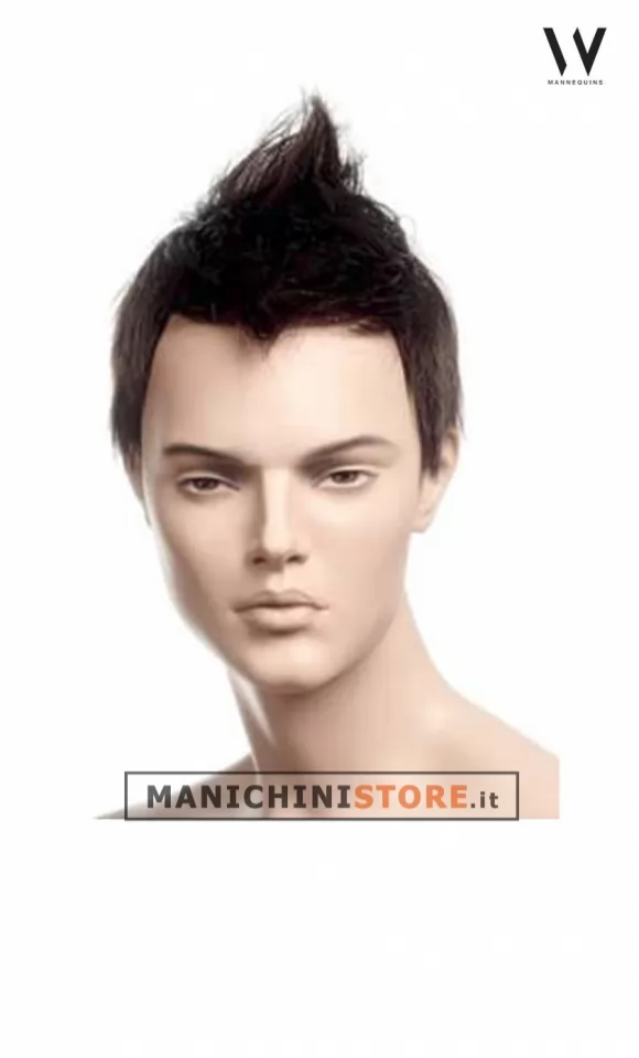Parrucca da Uomo 331/6