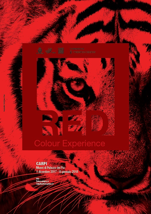 Red Color Experience