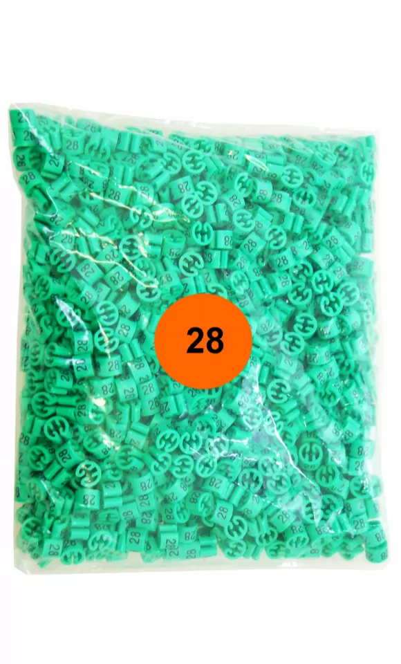 Segnataglia Verde Chiaro TG. 28