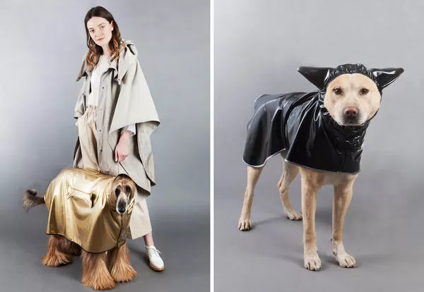 Dog-&agrave;-porter - la moda di Temellini Milano veste anche i cani