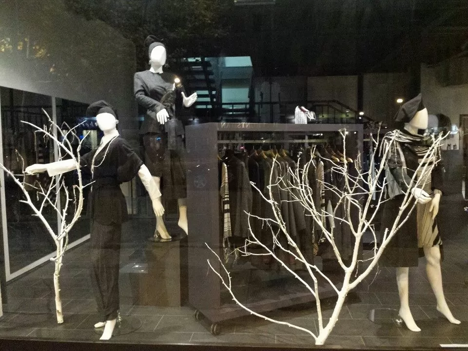 Walter Dang, elegante store